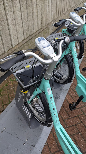 Negocio Beryl Bike Share - Brighton Marina