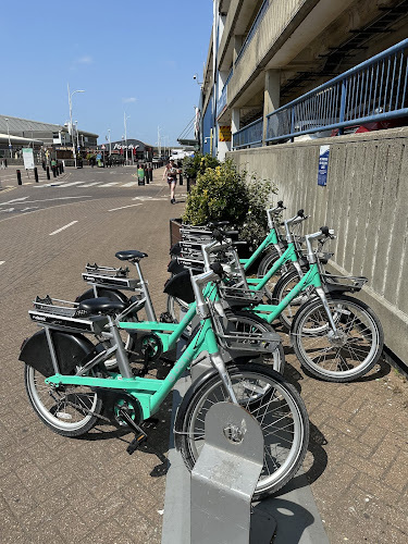 Negocio Beryl Bikes Btn Brighton Marina