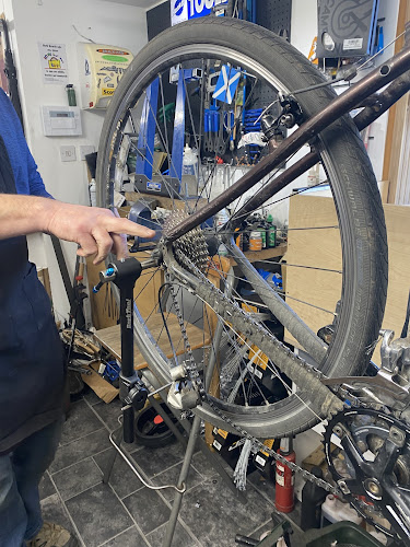 Negocio Law Cycles