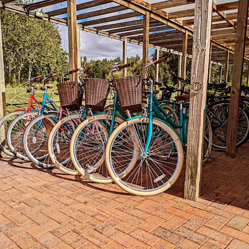 Negocio Wheel Free Cycles