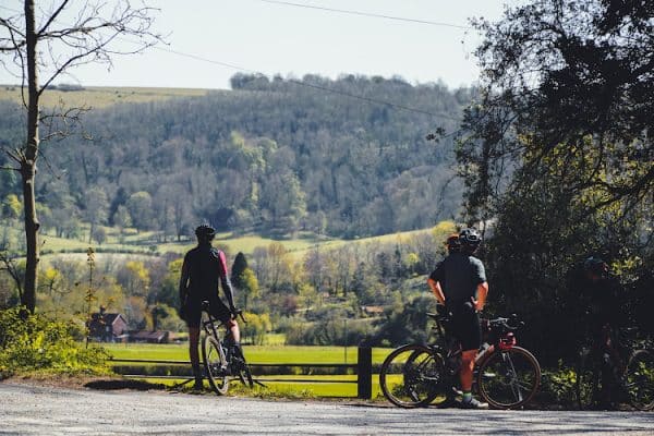 Negocio Wild Cycles